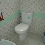 DSC05520